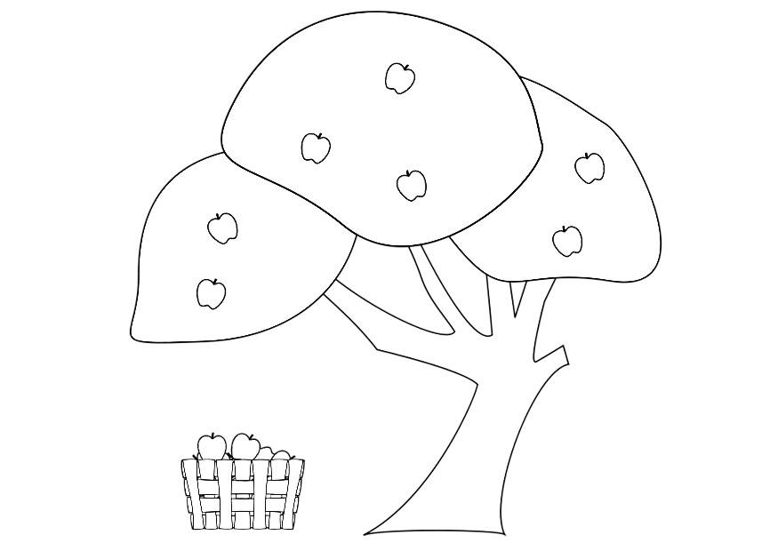 Coloriage pommier avec panier A  pommes